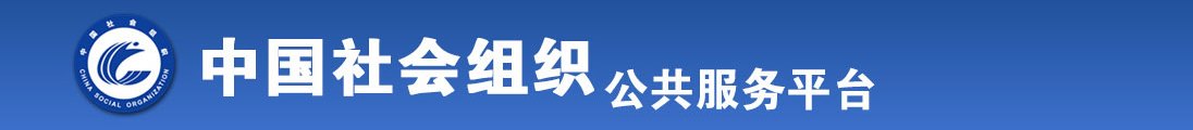 大肉帮插处女全国社会组织信息查询